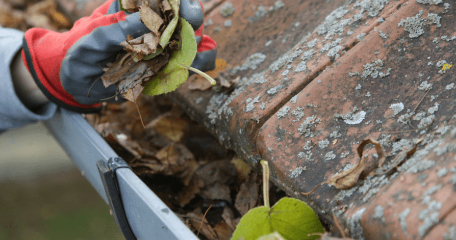 Gutter Cleaning Services